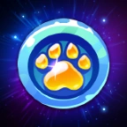 Pet Soul Coin