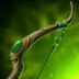 Elven Bow