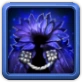 Equipment: Raven King's Cloak