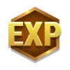 Experience