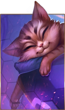 Chapter 1 card