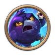Shop offer: Wise Raven
