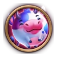Shop offer: Pleased Ox
