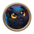 Shop offer: Furry Cat