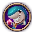 Coach Shark
