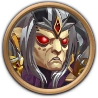 Jorgen's Champion Skin reached level 1