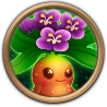 Mandrake Flower