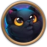 Furry Cat