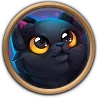 Furry Cat