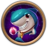 Coach Shark