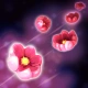 Maya's Toxic Pollen (periodic, green) Skill