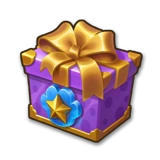 Pet Gift